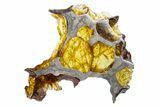 Polished Imilac Pallasite Meteorite (g) Slice #302101-1